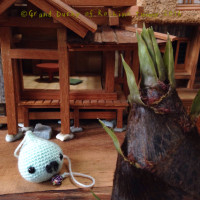 Mr. Humboldt and Bamboo Shoots  フンボルトさんとタケノコ